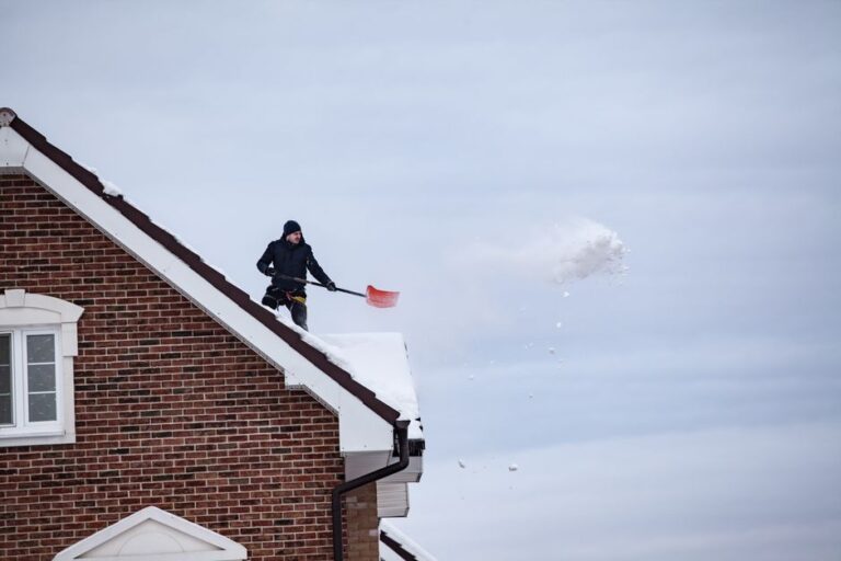 A homeowner uses a long-handled roof rake from the ground to clear leaves and small branches from shingles.
