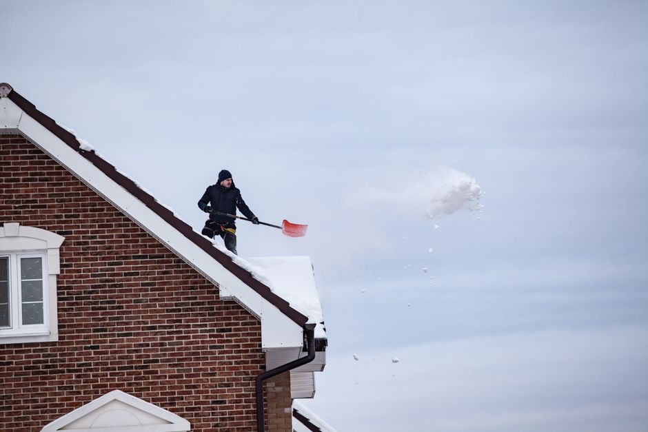 A homeowner uses a long-handled roof rake from the ground to clear leaves and small branches from shingles.